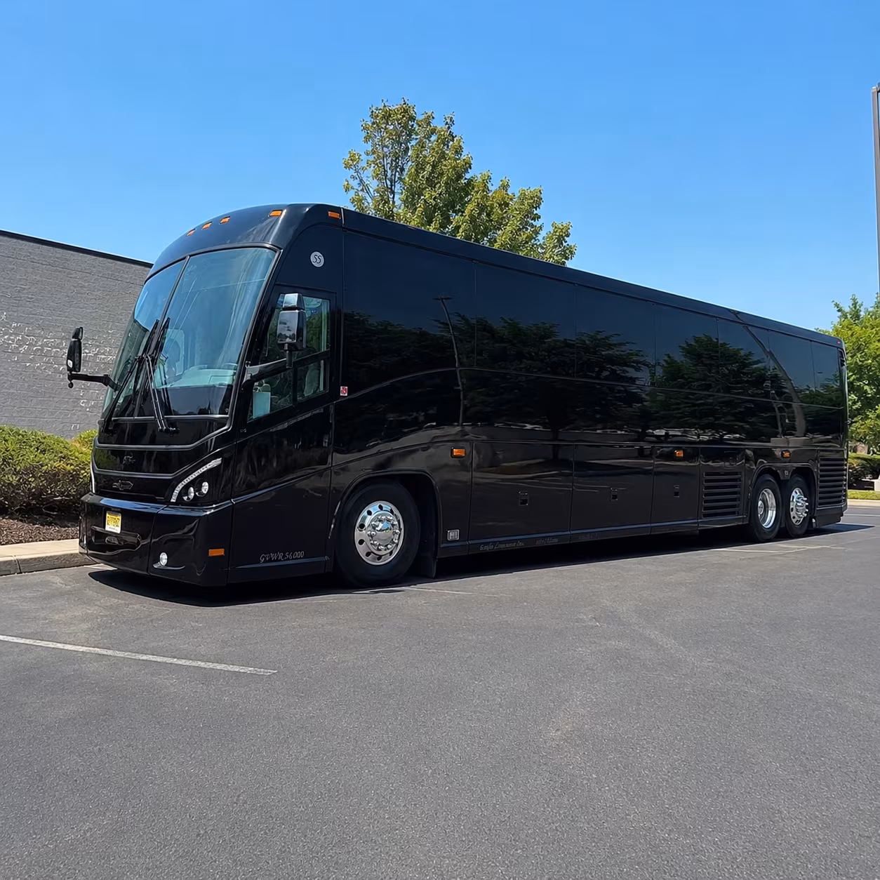 alexandria concert transportation